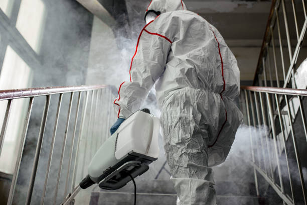 Best Commercial Mold Inspection  in Nice, CA